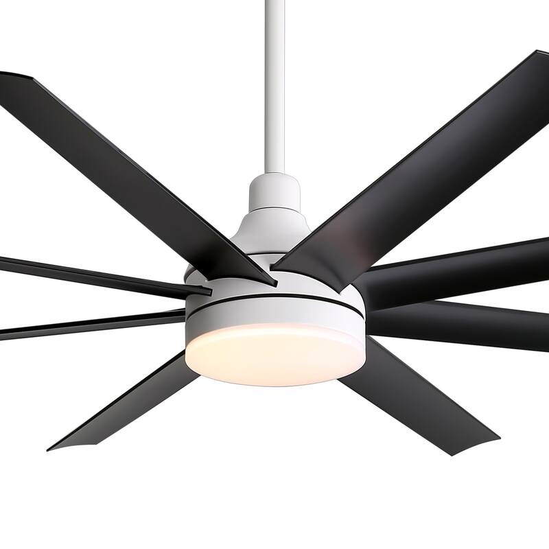 65 Inch LED Black and White Ceiling Fan with Light Remote- 8 Blade