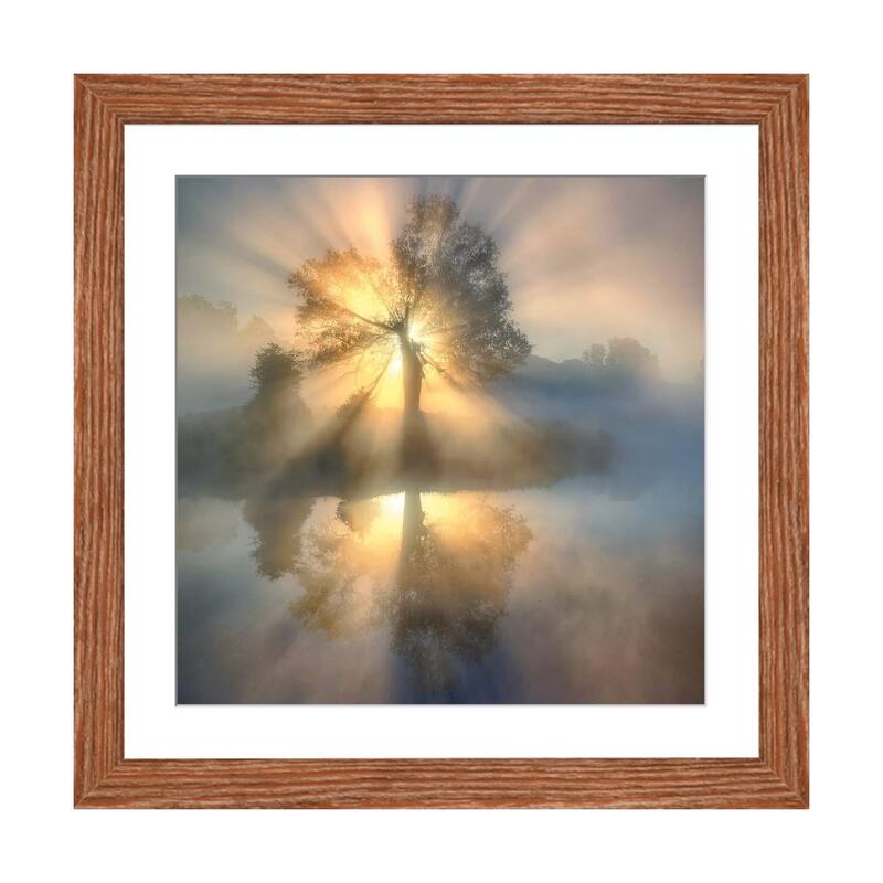 iCanvas "Tree of light" by keller - Walnut - 16x16x1