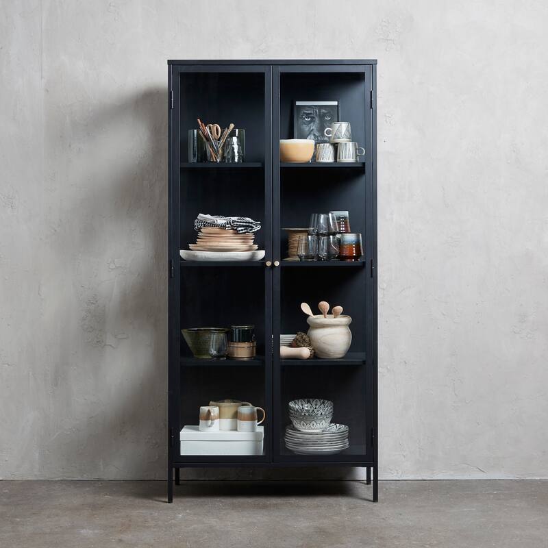 Rye Studio Cairyn Modern Glass and Metal Cabinet