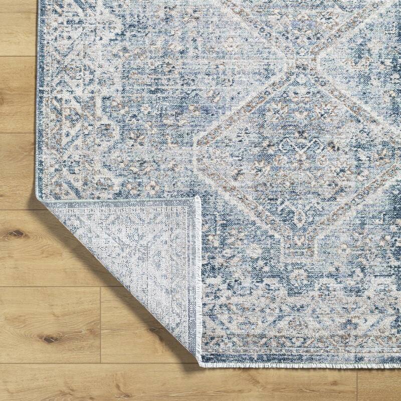 Ingle Traditional Medallion Area Rug