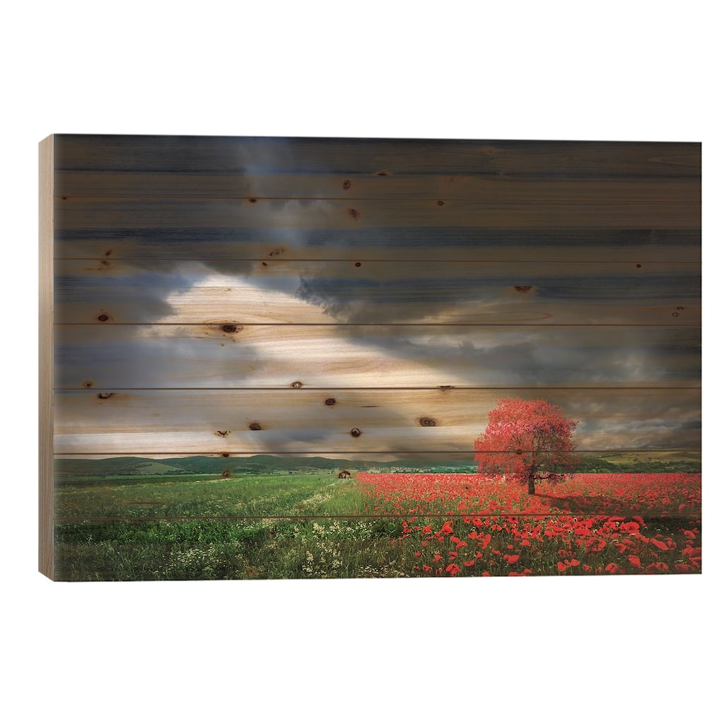 Red Tree In Meadow With Poppies Print On Wood by Bess Hamiti - Multi-Color