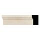 Option Poplar