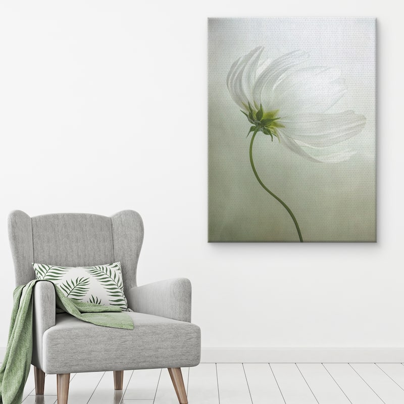 Cosmos Charisma by Mandy Disher Canvas Art Print