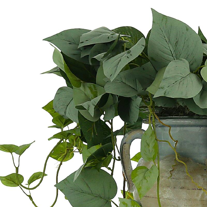 Frosted Ivy Arrangement in a Clay Pot - Green