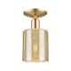 Option Champagne Bronze / Mercury
