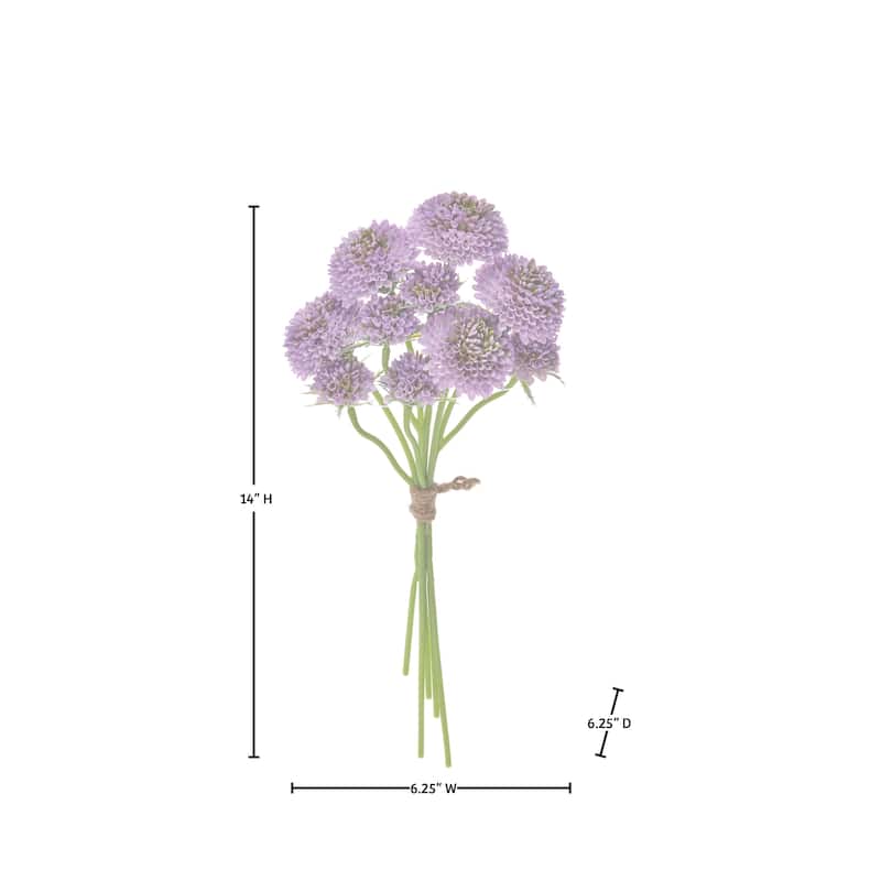 14" Scabiosa Bundle