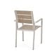 preview thumbnail 9 of 8, Faux Wood Dining Seat Set of 2, Garden Silver Aluminum Side Chairs