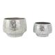 Option Silver