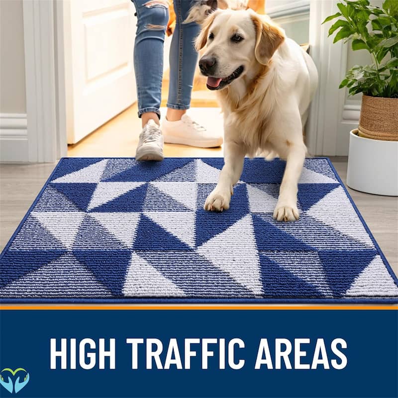 2 pack-Door Mat Indoor Entrance Washable