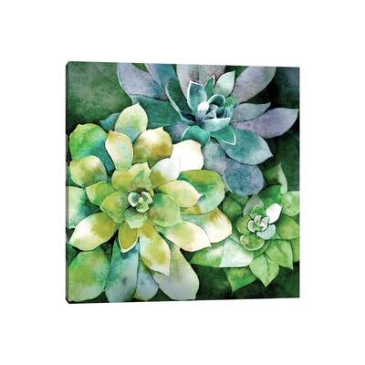 iCanvas "Summer Succulents" by Conrad Knutsen Canvas Print
