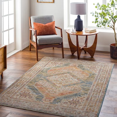 Abigail Traditional Medallion Area Rug