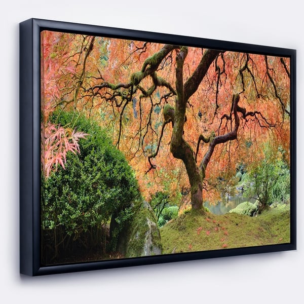 Shop Designart Old Japanese Maple Tree Landscape Photography