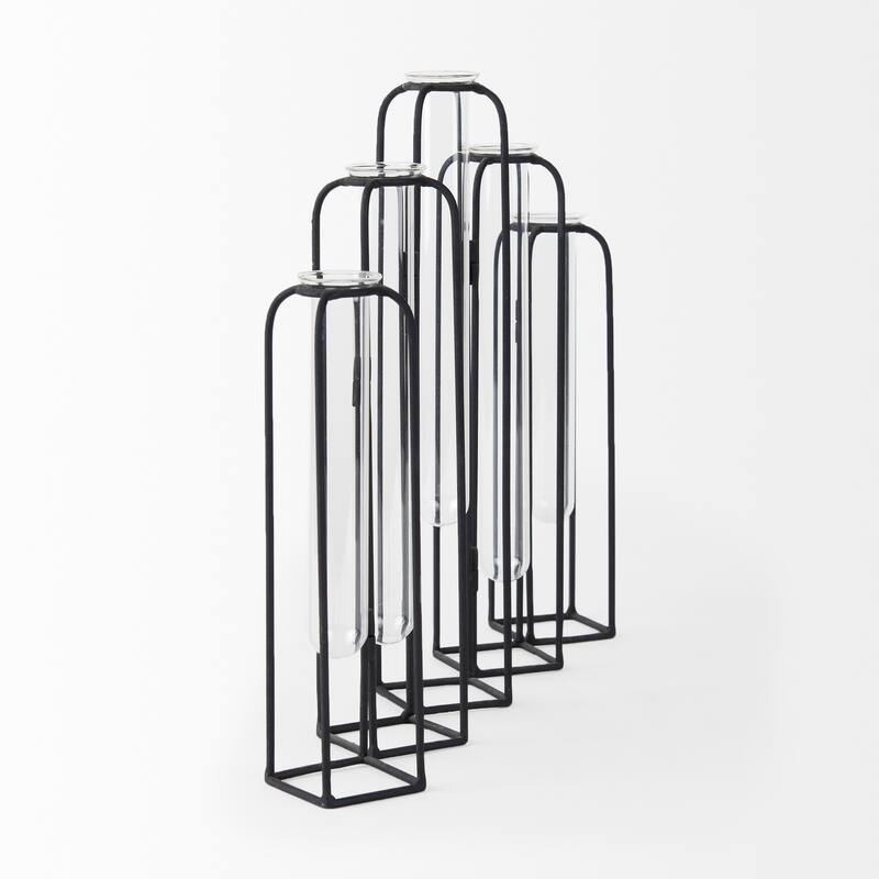 Mila Black Metal Frame w/ 5 Glass Vials Decorative Accent