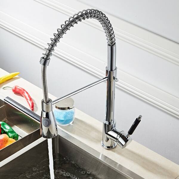 Pull-down Stainless 2-function Spray Swivel Kitchen Faucet ...