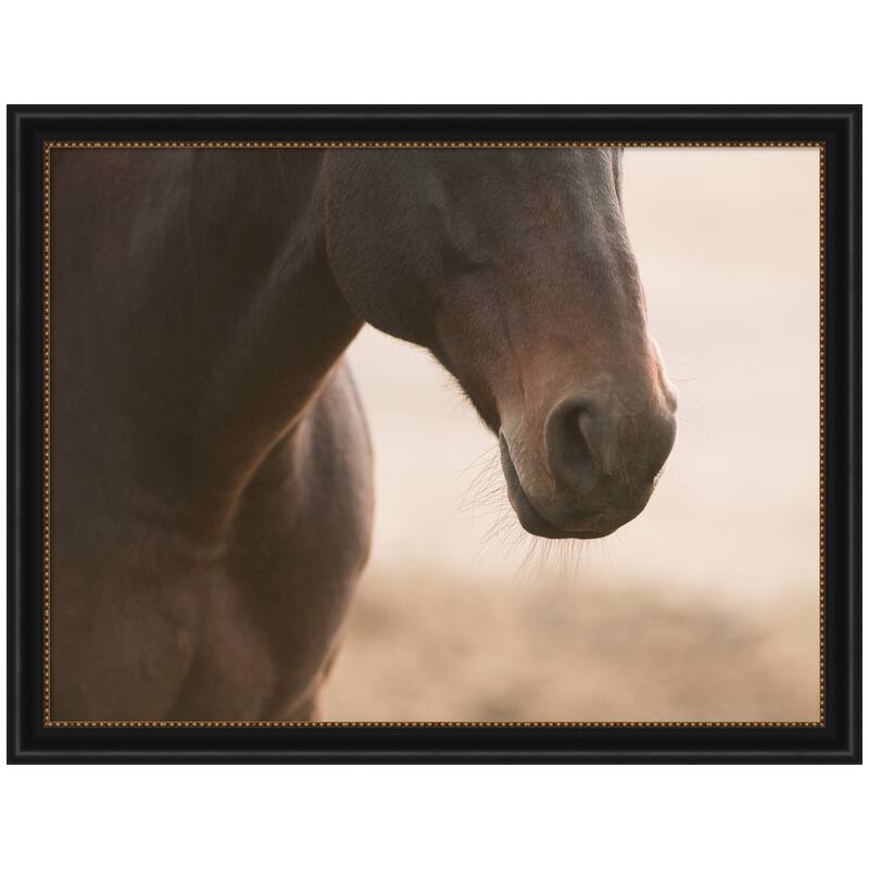 Kate and Laurel Dusty by Crystal Lynn Collins Framed Wall Art Print - 44 x 34 - Black