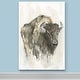 preview thumbnail 5 of 8, American Buffalo I -Premium Gallery Wrapped Canvas