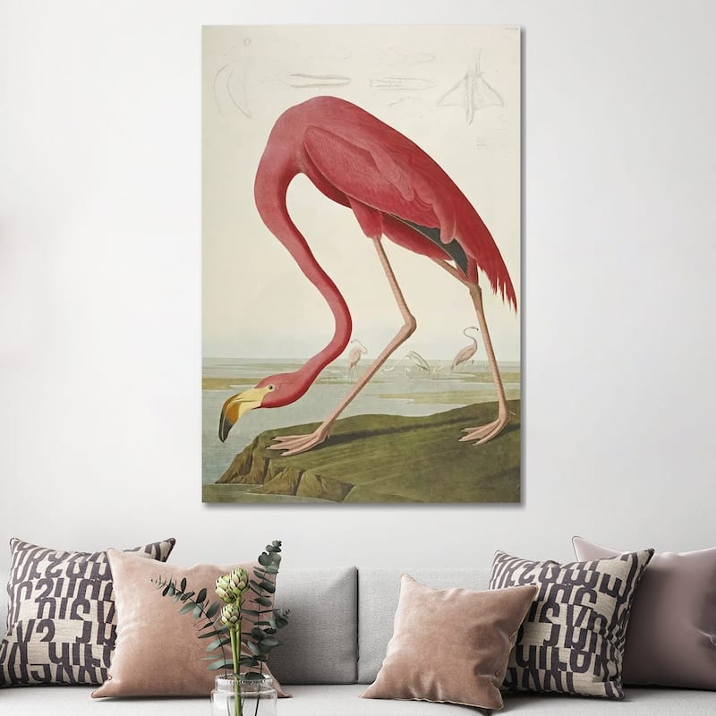 iCanvas 'American Flamingo' by John James Audubon Canvas Print