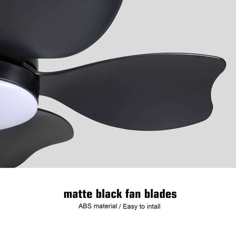 Modern Small Ceiling Fan Light with 3 Color Temperatures and 5 Blades, 6 Adjustable Wind Speeds for Bedroom and Living Room