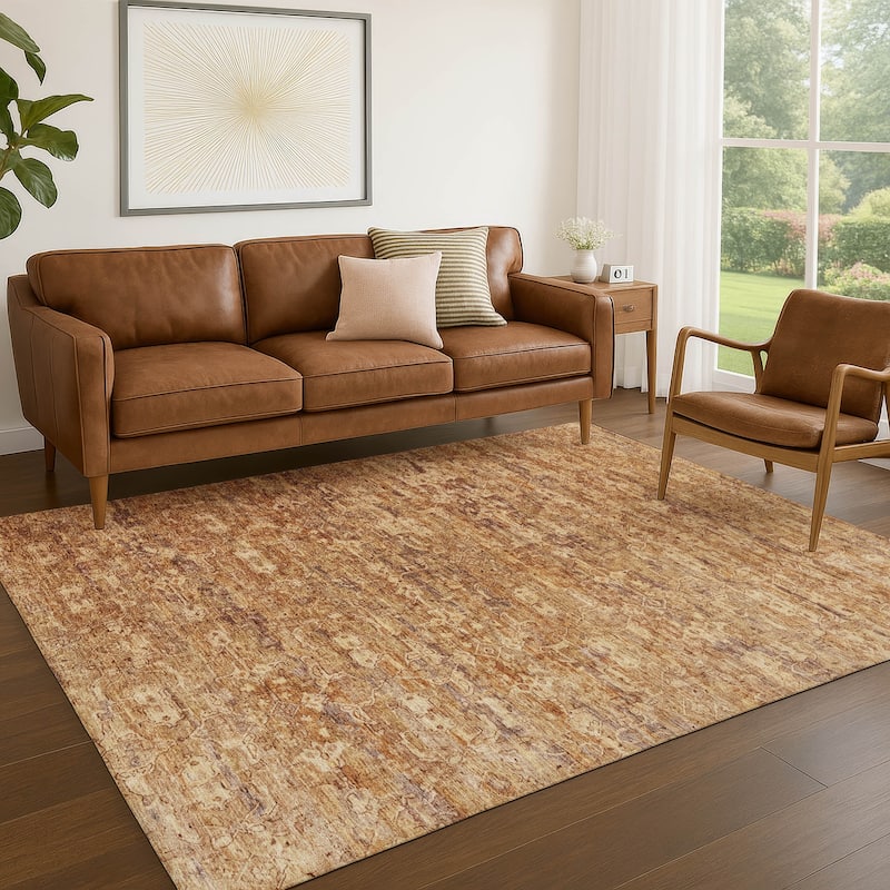 Machine Washable Indoor/ Outdoor Traditional Harmony Chantille Rug