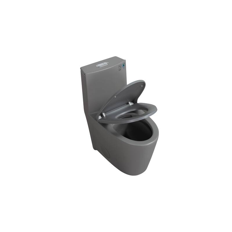Light Grey One-Piece Toilet