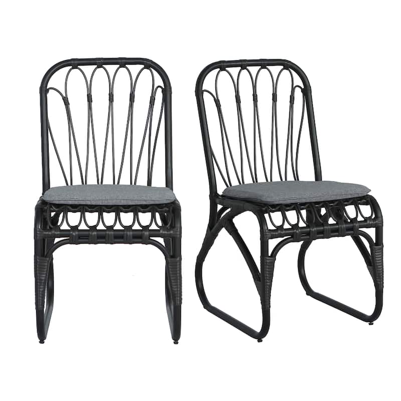 Christopher Knight Home- Alexandra Outdoor PE Wicker Dining Chairs with Cushions (Set of 2)