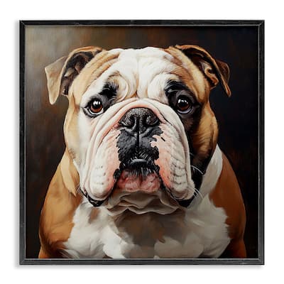 Stupell Stoic Bulldog Portrait Framed Giclee Art Design By Tom Crehan