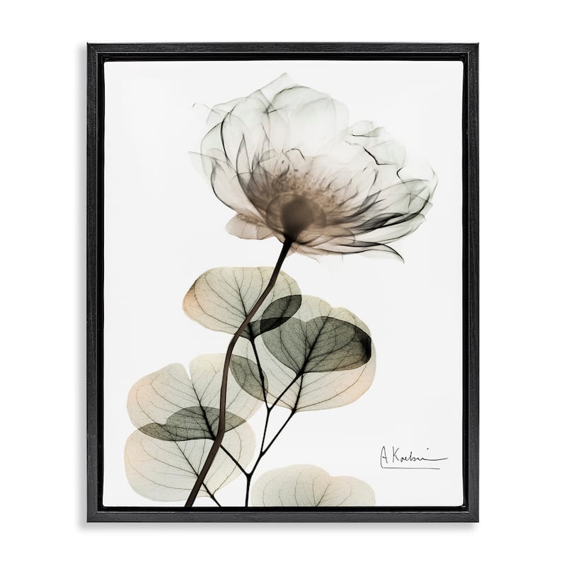 Stupell Simple Elegant White Flower Framed Floater Canvas Wall Art Design By Albert Koetsier - 17 x 21 - Black