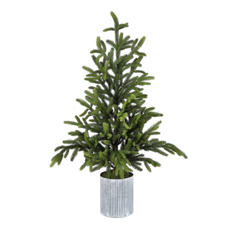 48" Potted Norway Spruce Tree
