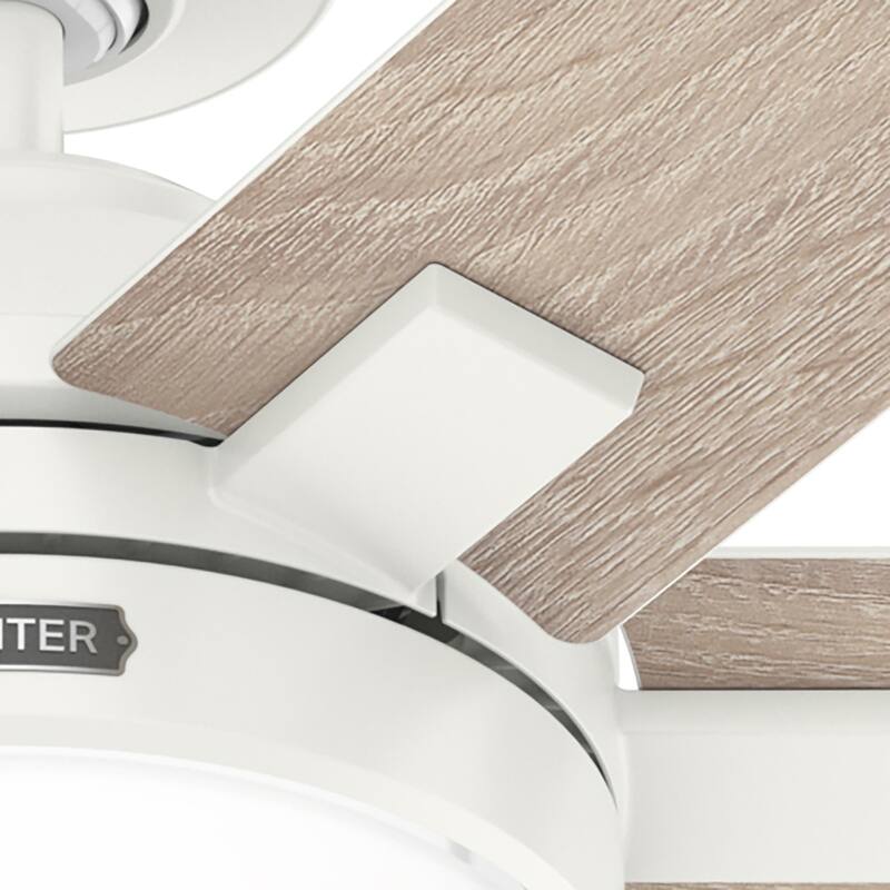 Hunter 52" Georgetown ENERGY STAR® Ceiling Fan w/ LED Light, Remote - Contemporary - Easy Install!