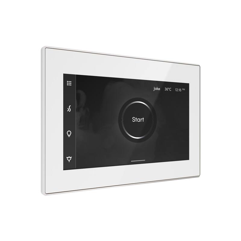 Mr Steam ISX Isteamx Steam Shower Control and Steamhead