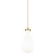Option Brushed Brass / Gloss White