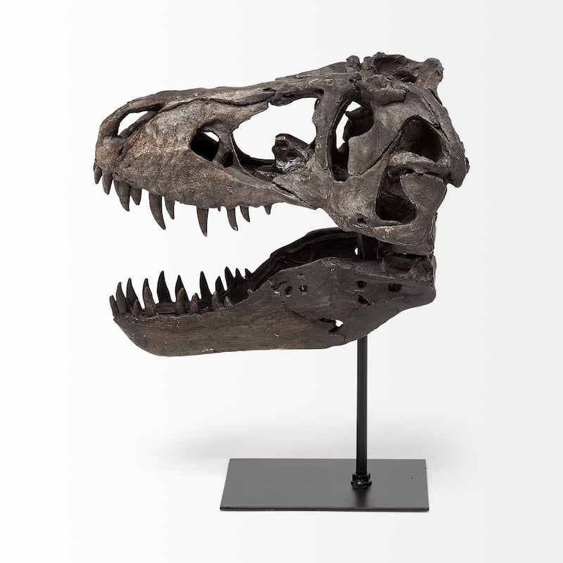 HomeRoots Brown Resin Tyrannosaurus Rex Skull Decor Piece - 10' X '12' X '6