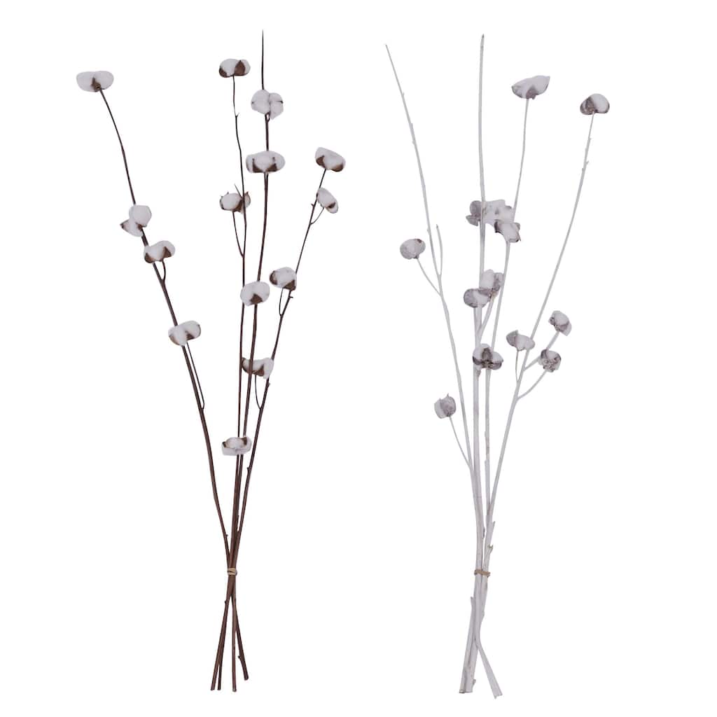 Dried Plant Pigeon pea Natural Foliage - Set of 2 White - Roche River Decor
