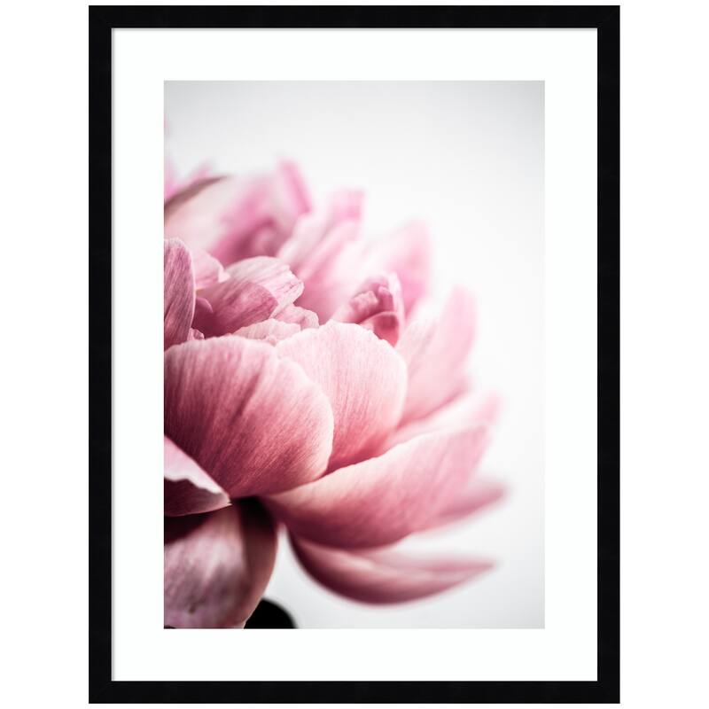 Kate and Laurel Pink Peony No1 by Mareike Bohmer Framed Wall Art Print - 19 x 25 - Black