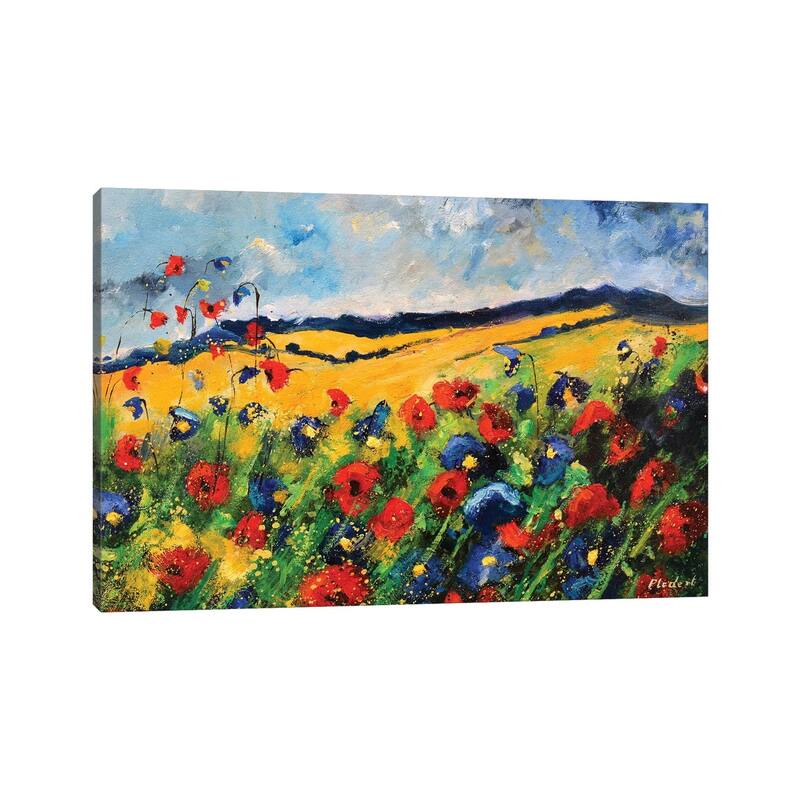 iCanvas "Red And Blue Poppies" by Pol Ledent Canvas Print