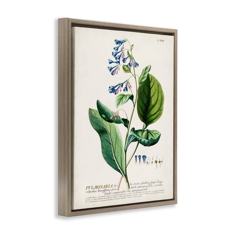 Stupell Botanical Plant Illustration Blue Flowers Vintage Design Floater Frame - Green