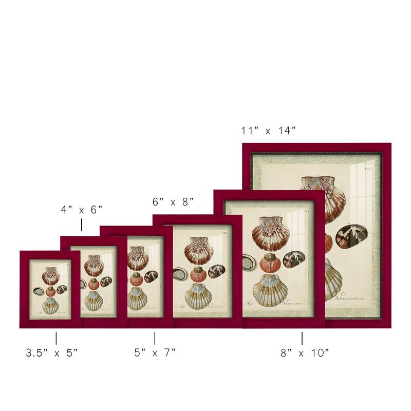 Bookplate Shells III -Framed Print w/glass-Cherry Red