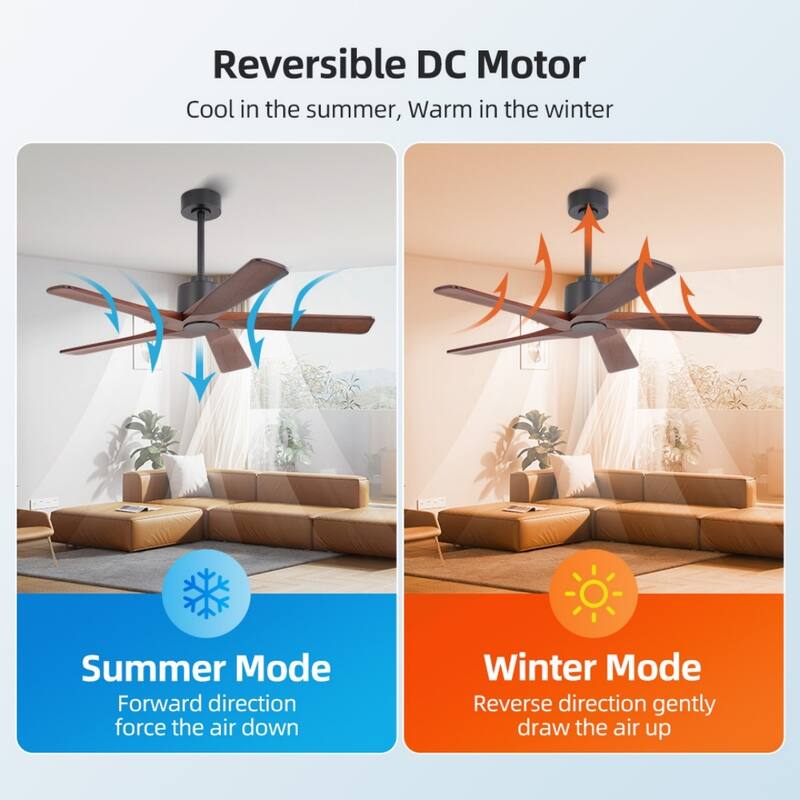 MLiAN 48in 5-Blade Indoor Ceiling Fan with Remote