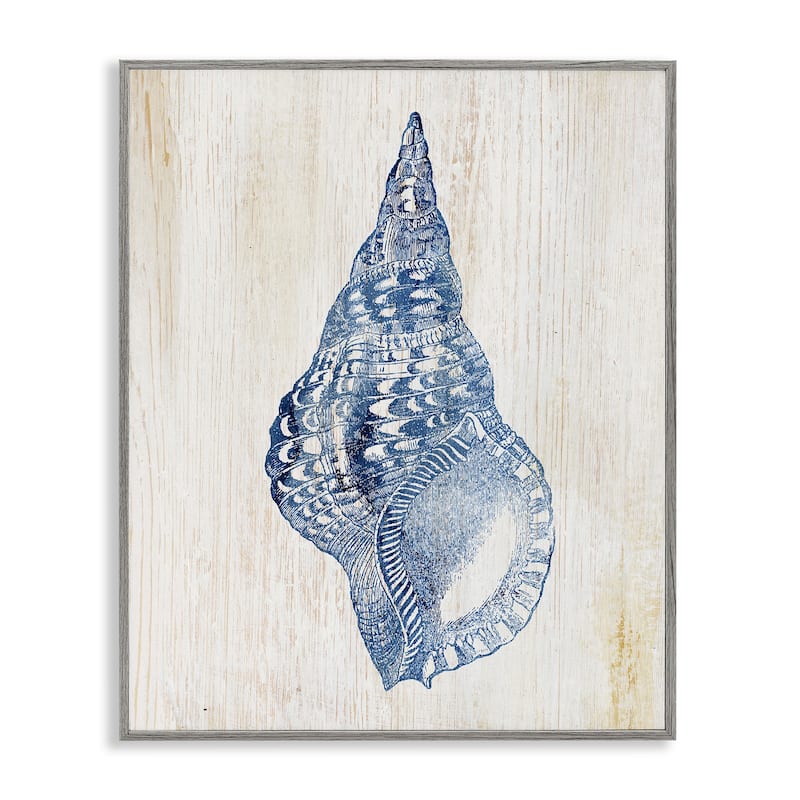 Stupell Tranquil Blue Shell Framed Giclee Art Design By Susan Arnot - 11 x 14 - Grey