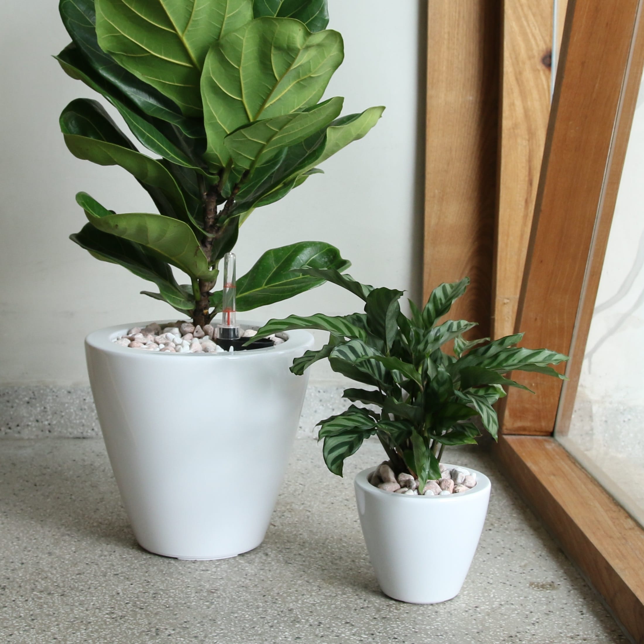 GDFStudio - Farmhouse 2-Piece Outdoor/Indoor Self-Watering Planter Pots with Drainage Plug and Water Level Indicator - 10.2"