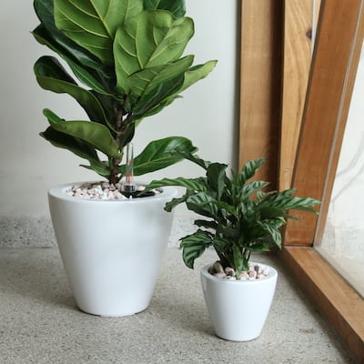 Set of 2 CATLEZA Smart Self-watering Planter Pot White Round Cone for All Plants, Herb, Succulents, Flowers