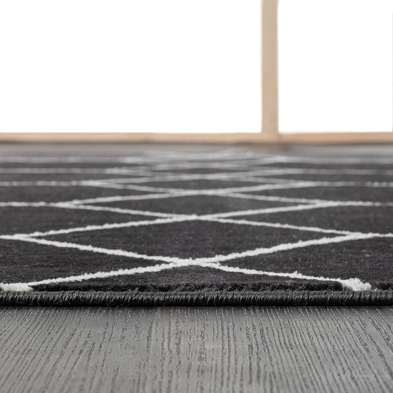 Trellis Geometric Woven Area Rug - 8'x10'
