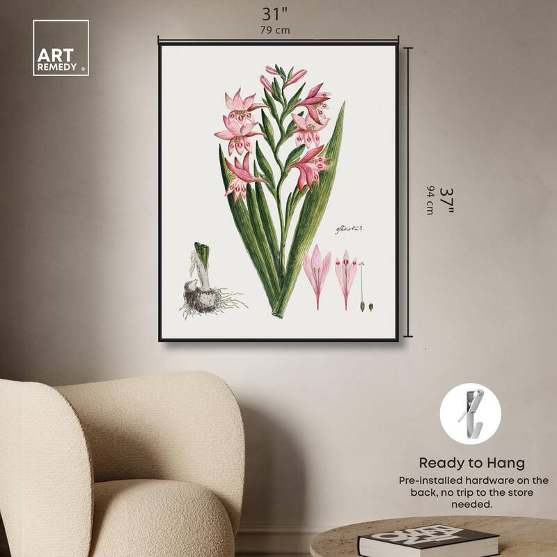 Gladiolus Carneus Canvas by Art Remedy