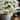 RusticReach Artificial Eco PE Small Daisy Stem in White 15" Tall
