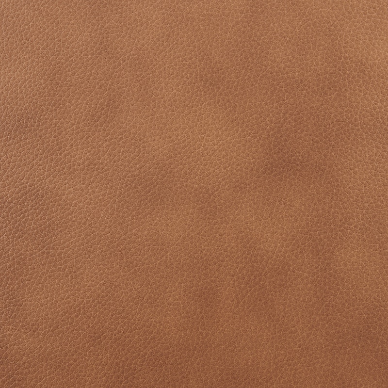 NPD Furniture Cordelia 38" W Top Grain Leather Club Chair