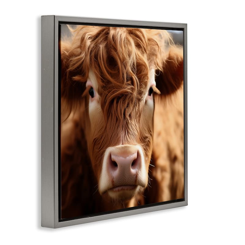 Stupell Close Up Furry Cow Portrait Framed Floater Canvas Wall Art Design By Heidi Kuntz