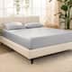 Option Light Grey