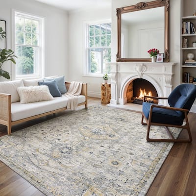 Style Haven Willett Oriental Grey/ Gold Area Rug