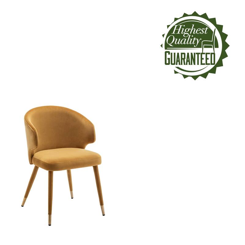 Porthos Home Ryn Velvet Dining Chairs with Gold Trim, Set of 2