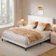 Option White